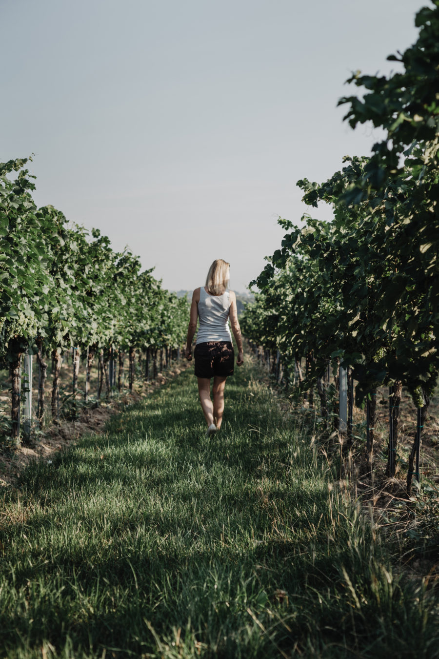 Winery
