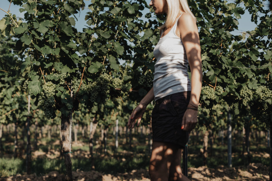 Weingut